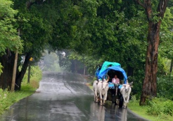 Heavy rains lash Telangana, normal life crippled