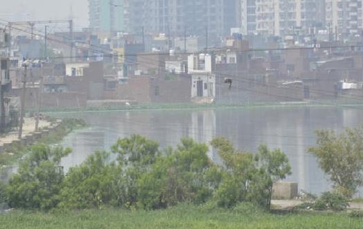 Major drive to revive wetlands, ponds in Noida