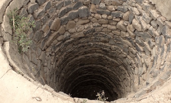 Man kills alcoholic brother by pushing him into well