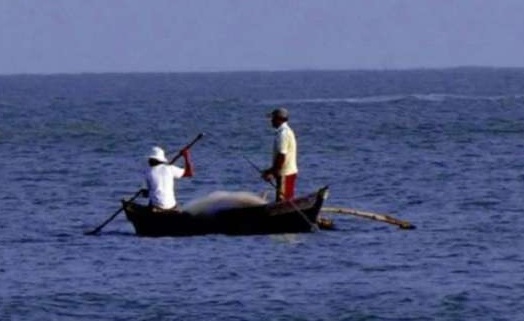 Four TN fishermen held by Lankan Navy