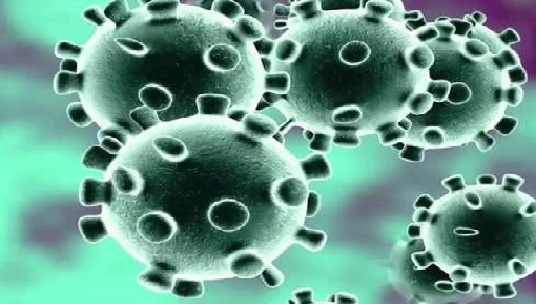 44-yr-old Coronavirus: NDA suspends large gatherings, expeditionsgaon resident tests positive of coronavirus