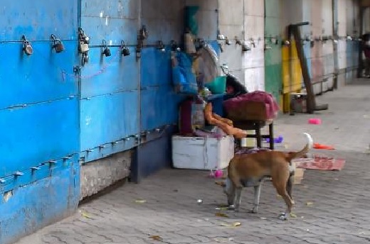 5 crore families who depend on roadside vending awaiting 'financial epidemic', says hawkers' body